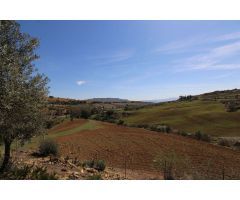 Encantadora Finca en Pizarra