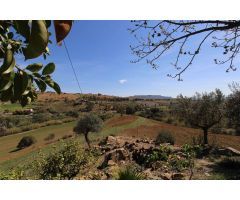 Encantadora Finca en Pizarra