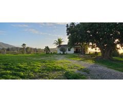 Finca con casa en alquiler en Cártama