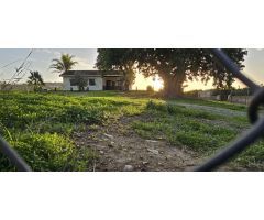 Finca con casa en alquiler en Cártama