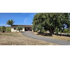 Finca con casa en alquiler en Cártama