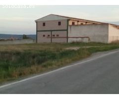 SE VENDE MATADERO DE CONEJOS EN CAMINREAL (TERUEL)