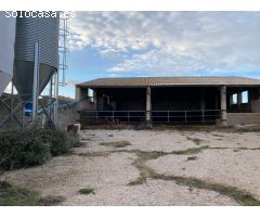 SE VENDE GRANJA EN TORNOS (TERUEL)