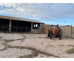 SE VENDE GRANJA EN TORNOS (TERUEL)