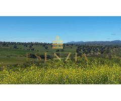 PARCELA CON VISTAS EN VILLAMANTILLA
