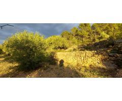 FINCA RÚSTICA