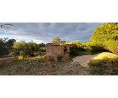 FINCA RÚSTICA