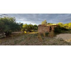 FINCA RÚSTICA