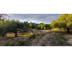 FINCA RÚSTICA