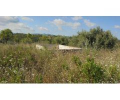 FINCA RÚSTICA EN ELS GUIAMETS