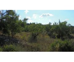 FINCA RÚSTICA EN ELS GUIAMETS