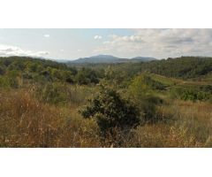 FINCA RÚSTICA EN ELS GUIAMETS