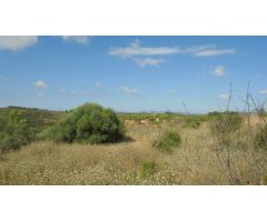FINCA RÚSTICA EN ELS GUIAMETS