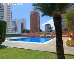 GRAN OPORTUNIDAD! ESTUDIO REFORMADO EN ZONA MERCADONA