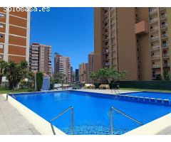 GRAN OPORTUNIDAD! ESTUDIO REFORMADO EN ZONA MERCADONA
