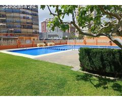 GRAN OPORTUNIDAD! ESTUDIO REFORMADO EN ZONA MERCADONA