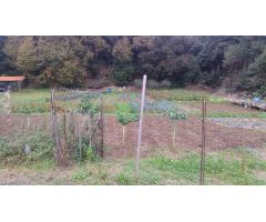 Solar en Venta en Isla de Sálvora, Cantabria