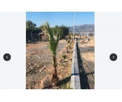 Chalet en Venta en Tibi, Alicante