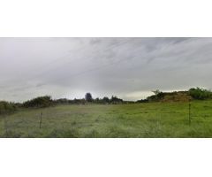 Lote de Parcelas