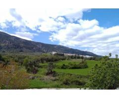 Masia en Venta en Agres, Alicante