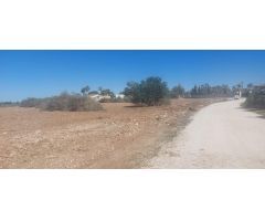 Terreno rural en Alquiler en El Altet, Alicante