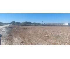 Terreno rural en Alquiler en El Altet, Alicante