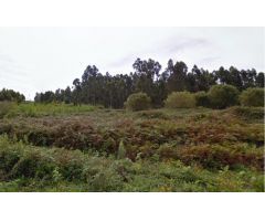 FINCA RÚSTICA IDEAL PARA PLANTACIÓN
