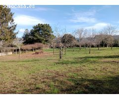 FINCA EDIFICABLE CAMPOLONGO-PONTEDEUME