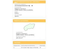 ¡¡Finca rustica de regadío de 224.370 m2!!
