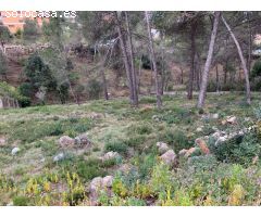 TERRENO URBANIZABLE EN CAN OLIVELLA - OLESA DE BONESVALLS