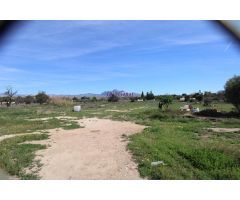 ???? Parcela Rústica con Vivienda para Reformar en Mutxamel – Más de 10.000 m² con Posibilidad de Co