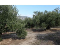 Finca Agrícola en Venta en La Guardia de Jaén, Jaén