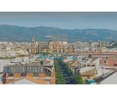 zona baja campo de la verdad