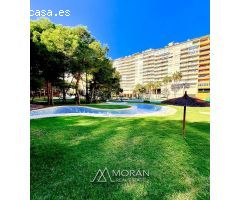 Apartamento en Alquiler en Orihuela Costa, Alicante