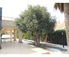 Villa de Lujo en Venta en Cabo Roig, Alicante