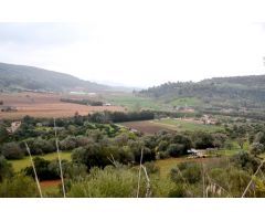 Finca rústica ubicada en Sa Vall, Manacor con 68.500 m2