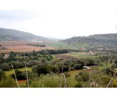 Finca rústica ubicada en Sa Vall, Manacor con 68.500 m2