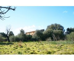 Gran Finca Rústica de 40.000 m2 en Binissalem