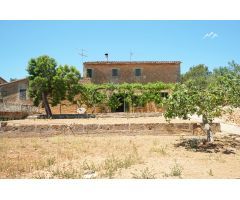 Gran Finca Rústica de 14 hectáreas ubicada en Palma de Mallorca