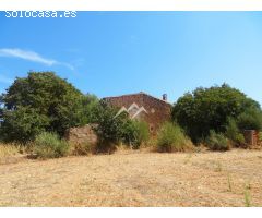 Espectacular finca rústica de 49.973 m2 en Campos