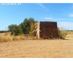 Espectacular finca rústica de 49.973 m2 en Campos
