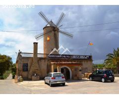 MOLINO DE VIENTO DEL SIGLO XIX EN CAPDEPERA