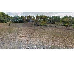 Se alquila terreno para fines agrícolas de 10.000 m2 en Algaida