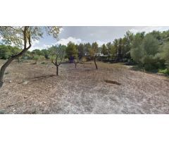 Se alquila terreno para fines agrícolas de 10.000 m2 en Algaida