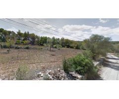 Se alquila terreno para fines agrícolas de 10.000 m2 en Algaida