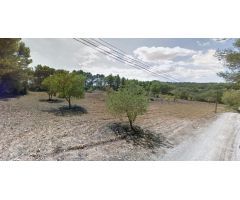 Se alquila terreno para fines agrícolas de 10.000 m2 en Algaida