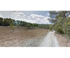 Se alquila terreno para fines agrícolas de 10.000 m2 en Algaida
