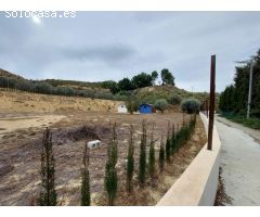 Parcela en Camino de Los Puros. El Garruchal