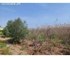 Terreno Rustico en ALQUERIAS