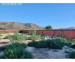 Parcela en Torreagüera - Camino Viejo de Orihuela